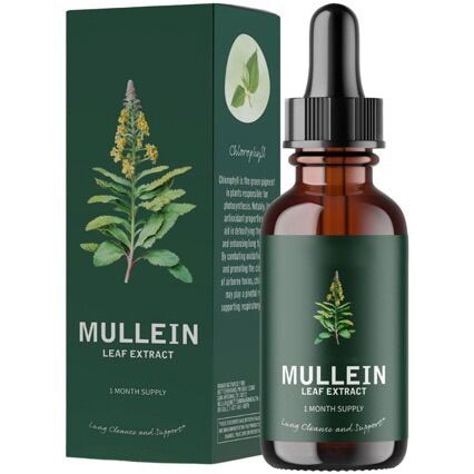 Premium Mullein Leaf Extract Drops – Natural Lung & Respiratory Support